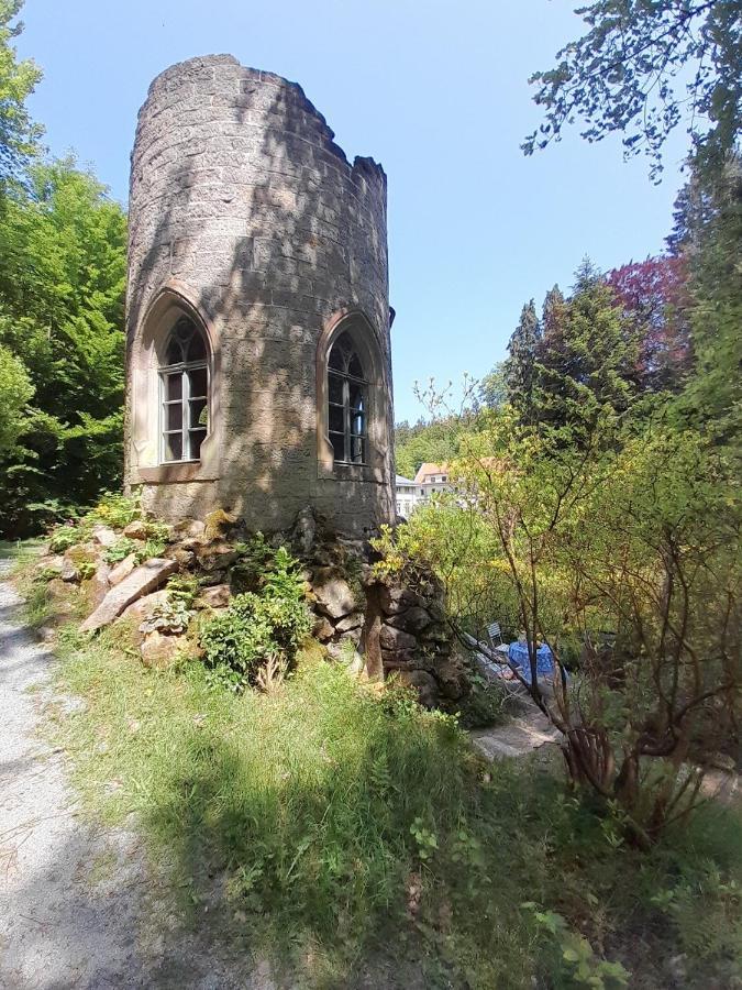 Rapunzel Trifft Dornroeschen Villa Rosenthal-Bielatal Eksteriør billede